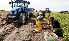 ( AFP / LUDOVIC MARIN )