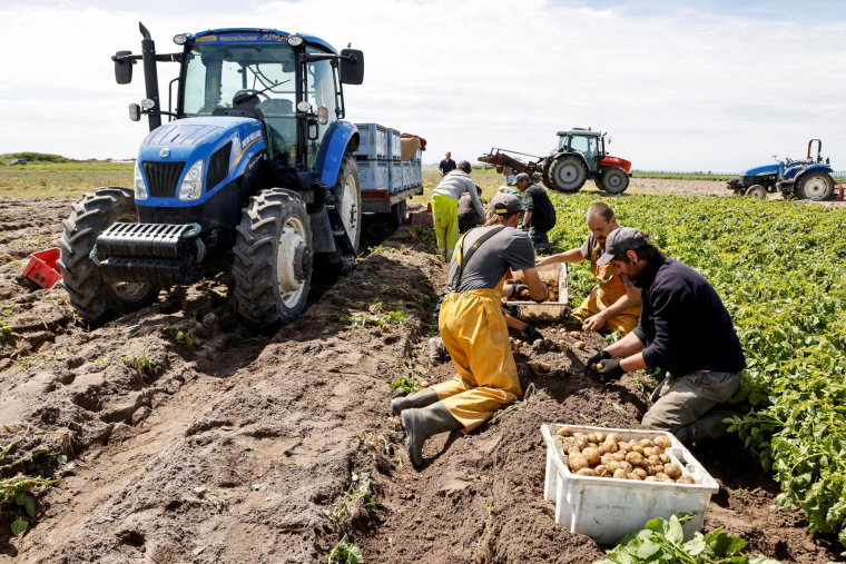 ( AFP / LUDOVIC MARIN )