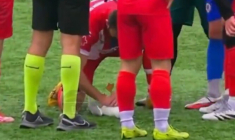 La mouette d'Istanbul est décédée