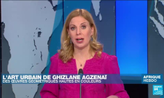 L'art urbain de Ghizlane Agzenaï et ses "totems" optimistes hauts en couleurs