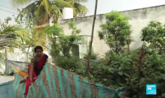 En Inde, la révolution du bio a commencé