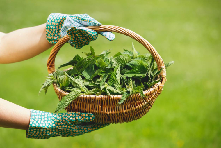 iStock-SStajic