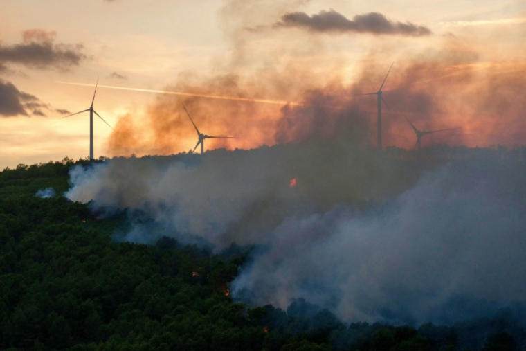 Sur les hauteurs de Pouzols-Minervois, dans l'Aude, le 1er juillet 2026 ( AFP / Idriss Bigou-Gilles )