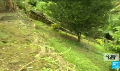 En Guyane, le scandale des enfants amérindiens placés de force dans des pensionnats