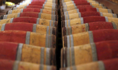 Photo de tonneaux de vin rouge stockés dans la cave du Château Domaine de Chevalier à Léognan, près de Bordeaux