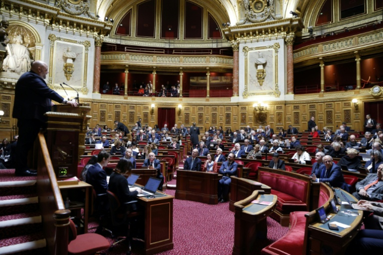Le Sénat se penche à partir de mercredi sur un projet de loi de lutte contre les fraudes sociales et fiscales, dont le gouvernement espère tirer plus de deux milliards d'euros ( AFP / Ludovic MARIN )