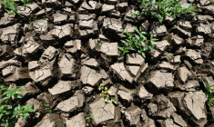 ( AFP / RICHARD BOUHET )