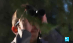 Le Jura, paradis des skieurs de fond