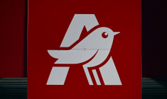 L'alliance Mulliez-Mousquetaires rassemblent des enseignes diverses comme Auchan, Intermarché, Leroy Merlin, Décathlon, Kiabi...) ( AFP / GABRIEL BOUYS )