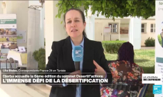 Nouveau rapport RSF sur la région des grands lacs: un environnement global dégradé
