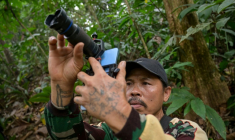 Octavius, villageois indonésien et ancien braconnier, utilise un téléphone portable équipé d’un téléobjectif pour prendre des photos d’animaux sauvages dans une forêt près du village de Labian, à Kapuas Hulu, à Bornéo, le 2 septembre 2026 ( AFP / BAY ISMOYO )