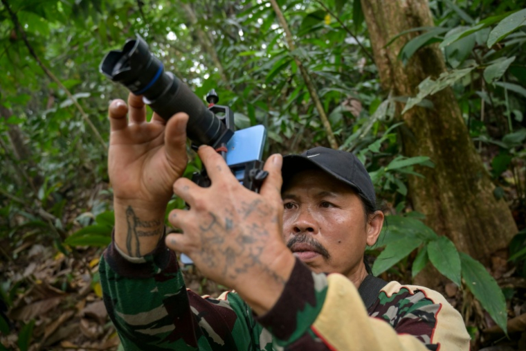 Octavius, villageois indonésien et ancien braconnier, utilise un téléphone portable équipé d’un téléobjectif pour prendre des photos d’animaux sauvages dans une forêt près du village de Labian, à Kapuas Hulu, à Bornéo, le 2 septembre 2026 ( AFP / BAY ISMOYO )