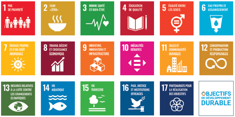 Objectifs de développement durable