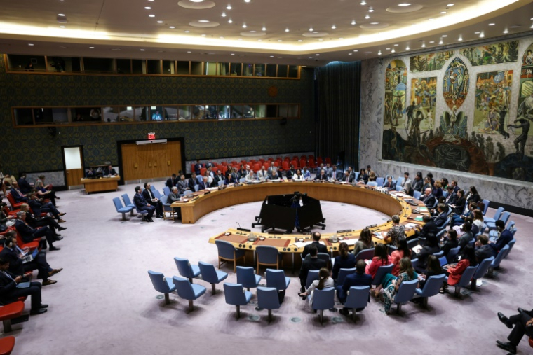Réunion du Conseil de sécurité de l'ONU sur l'Iran, le 19 septembre 2025 à New York ( AFP / ANGELA WEISS )