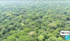 Yangambi, la cité scientifique du Congo au cœur de la jungle