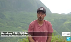 Intempéries à Tahiti : des maisons inondées, des routes transformées en torrent