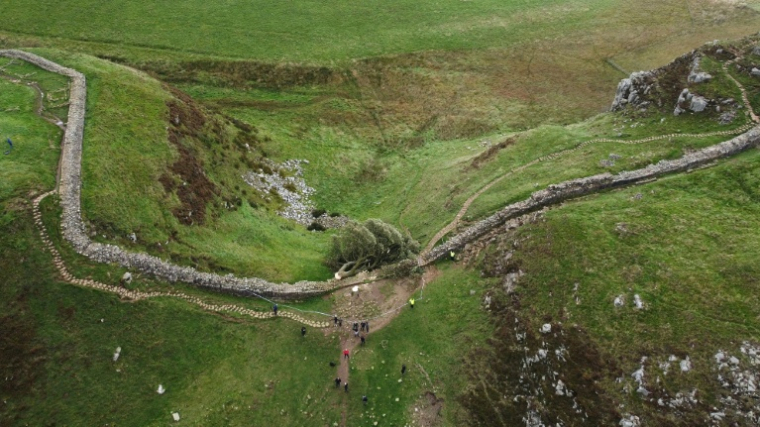 Vue aérienne du Sycamore Gap Tree abattu, le long du mur d'Hadrien près de Hexham dans le nord de l'Angleterre, le 28 septembre 2023 ( AFP / Oli SCARFF )