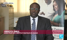 Dr Amadou Sall : "L’Institut Pasteur de Dakar veut faciliter le dépistage du Covid-19 en Afrique"