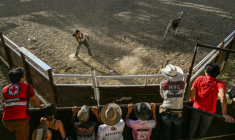 Une participante à une compétition de rodéo organisée dans la province philippine de Masbate, le 13 avril 2026 ( AFP / Jam STA ROSA )
