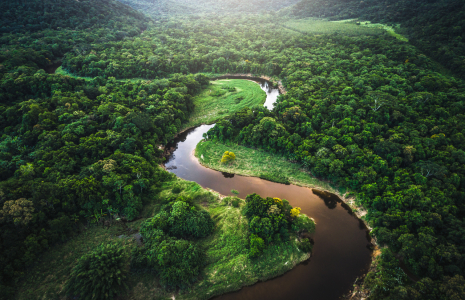 Green Planet