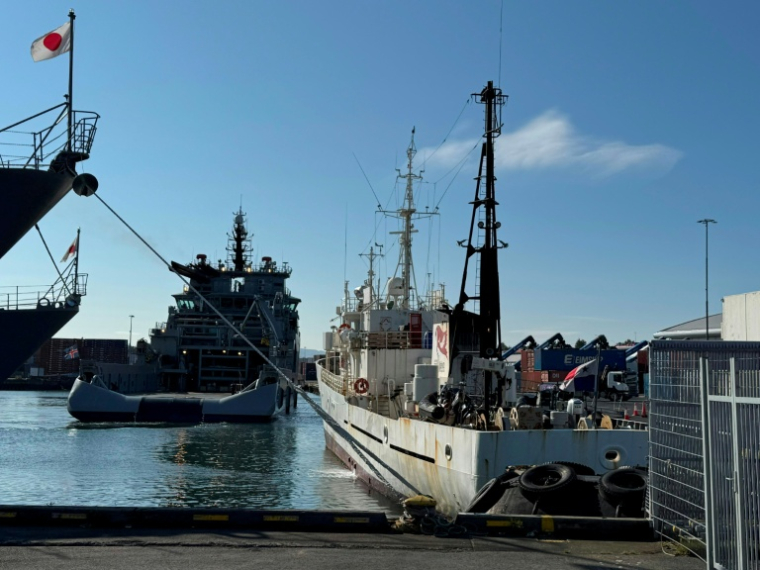Photo prise le 31 juillet 2026 et fournie par la Fondation Paul Watson le 1er août 2026 montrant à droite le Bandero, navire de la Fondation, flanqué à gauche par un bateau des garde-côtes islandais, dans le port de Reykjavik ( CAPTAIN PAUL WATSON FOUNDATION UK / Handout )