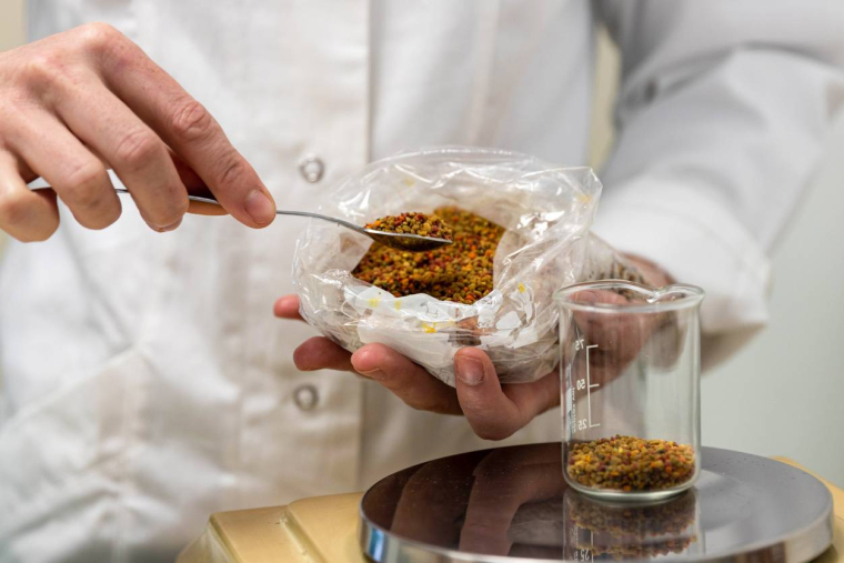 Les insectes dans l’alimentation animale… et humaine - iStock-DonnaDiavolo