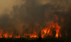 Un incendie de forêt en cours près de la commune de Lège-Cap-Ferret, en Gironde, le 25 juillet 2026  ( AFP / JULIEN DE ROSA )