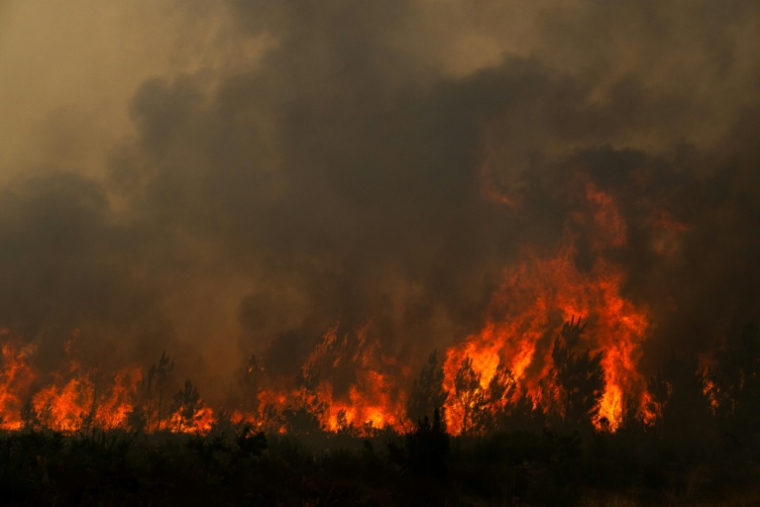 Un incendie de forêt en cours près de la commune de Lège-Cap-Ferret, en Gironde, le 25 juillet 2026  ( AFP / JULIEN DE ROSA )