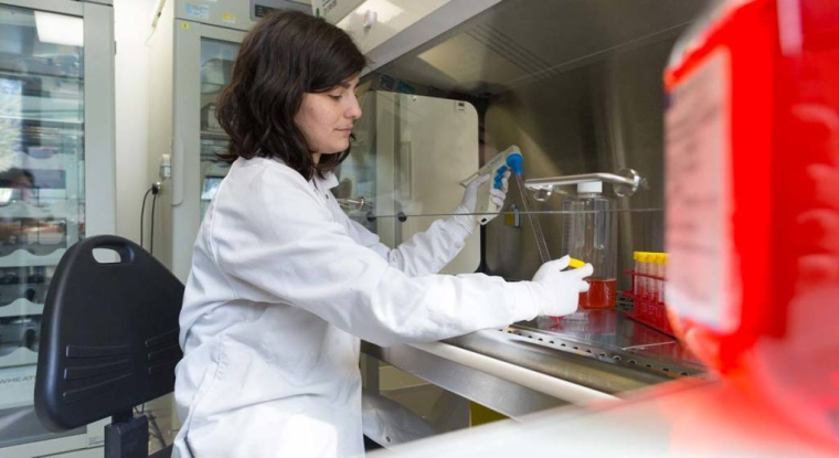 Goldman Sachs a surtout ajusté son conseil en fonction de la hausse du cours. (© Innate)