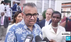 Le paludisme éradiqué du Cap-Vert