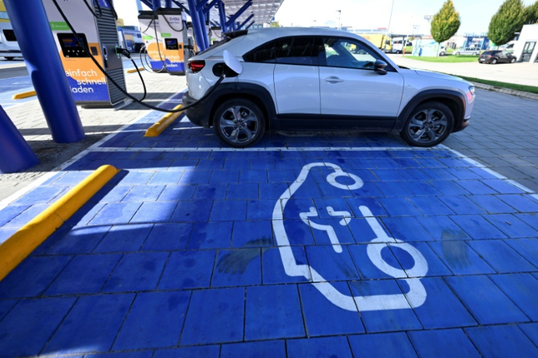 Place de parking pour charger une voiture électrique, à Kamen en Allemagne, le 15 octobre 2024 ( AFP / Ina FASSBENDER )