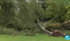 Tempête Aurore : 120 000 foyers privés d'électricité, incidents sur le réseau ferré