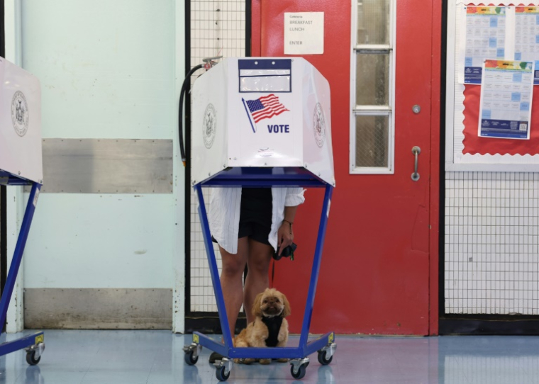 Une personne, accompagnée de son chien, vote dans un lycée de Manhattan pour la primaire qui doit désigner le candidat du Parti démocrate à la mairie de New York, le 24 juin 2025 ( AFP / TIMOTHY A. CLARY )