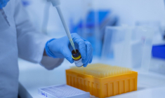 3e séance de hausse consécutive pour la biotech. (Crédits photo : Pixabay - fernando zhiminaicela )