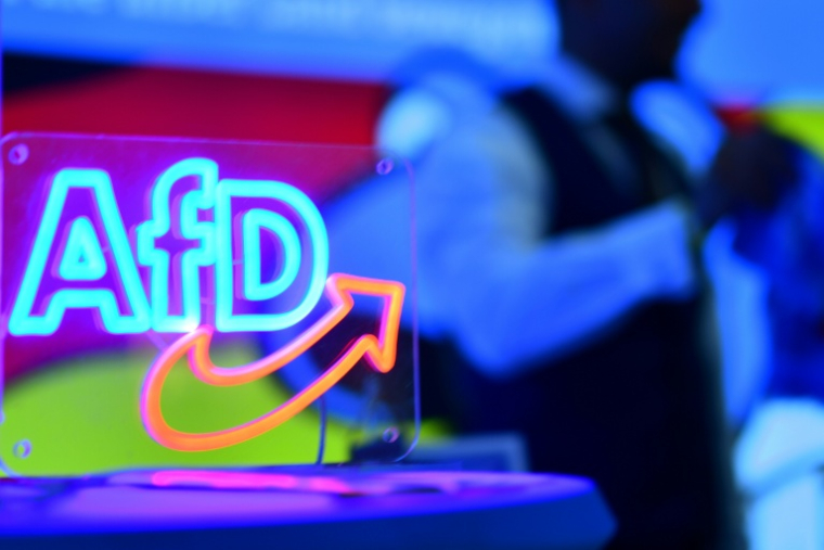 En plein essor, le parti d'extrême droite Alternative pour l'Allemagne (AfD) va former ce weekend sa nouvelle organisation de jeunesse, après avoir dû dissoudre la précédente à cause de son radicalisme ( AFP / Volker Hartmann )