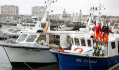 BREXIT/PÊCHE: LA FRANCE PRÊTE À DIALOGUER ENCORE "QUELQUES JOURS"