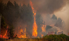 FRANCE: PLUS DE 10.000 HECTARES DE FORÊT BRÛLÉS EN GIRONDE