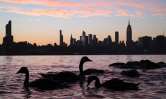 L'horizon de Manhattan pendant le coucher du soleil à New York