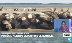 Derrière l'image : un regard sur le rôle crucial de l'océan pour le climat