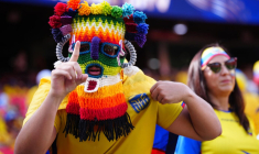 Des supporters de l'Equateur se mettent sur la gueule avant le match contre l'Allemagne