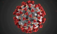UNE NOUVELLE VARIANTE DU CORONAVIRUS DÉCOUVERTE EN ANGLETERRE