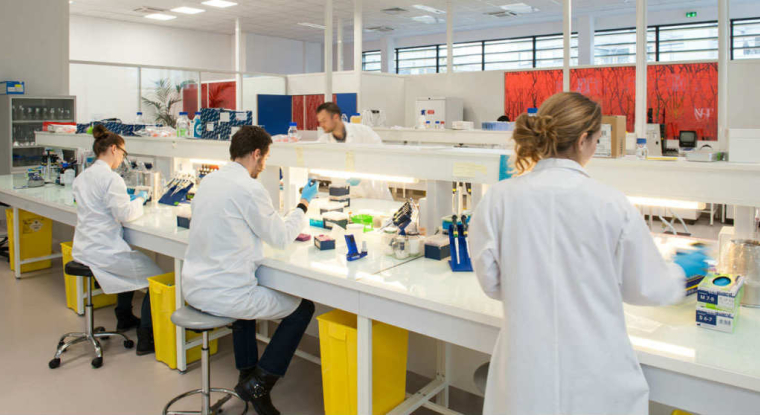 Malgré son envolée du jour, l'action Genomic Vision perd encore 34% depuis le début de l'année. (© Genomic Vision)