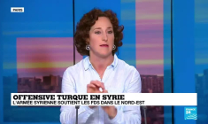 "L'offensive turque est une énième plaie sur la Syrie"