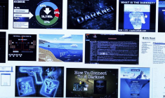 Lesvrais revenus du Darknet