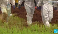 Covid-19 dans le monde: La progression du variant Delta suscite de nouvelles restrictions