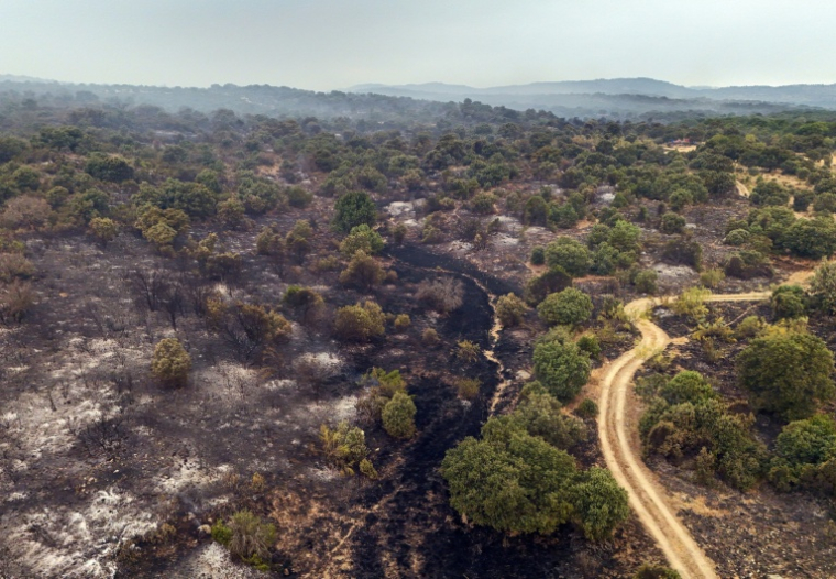 Plan aérien de la végétation ravagée par un incendie dans le secteur de Fresnedillas, près d'El Escorial, à 60 km au nord-ouest de Madrid, le 25 juillet 2026 ( AFP / Oscar DEL POZO )