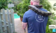 La pénurie d'antivenin inquiète les populations d'Afrique du Sud