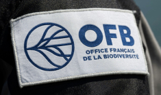 Le blason de l'Office français de la biodiversité (Office Français de la Biodiversité - OFB) à Hyères, en France, le 8 mai 2025 ( AFP / Miguel MEDINA )