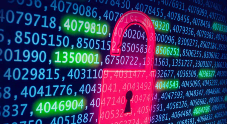 Les dirigeants-fondateurs ont confirmé viser en 2024 un nouvel exercice dynamique. (© DR)