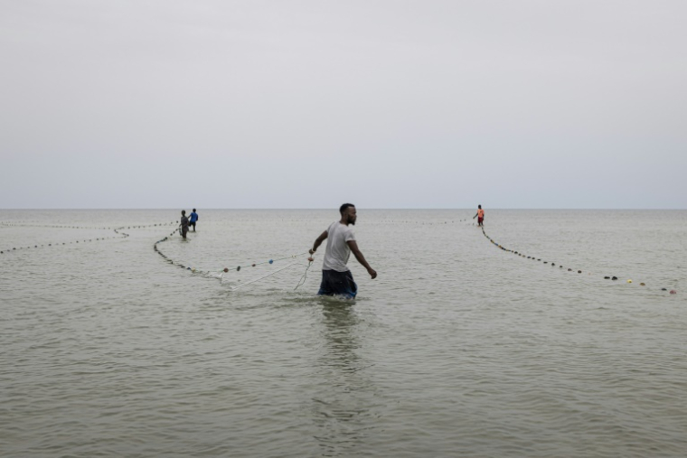 Des pêcheurs de l'île de Nyangai tirent un filet, le 29 avril 20255 au large de la Sierra Leone ( AFP / PATRICK MEINHARDT )